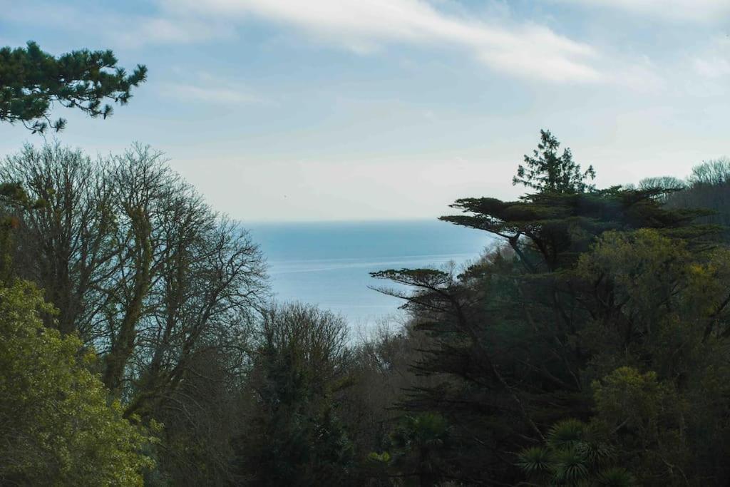 Beautiful Beach Side Apartment Torquay Bagian luar foto